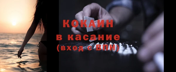 PSILOCYBIN Инта