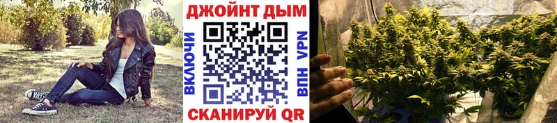 Каннабис индика  Чебаркуль 